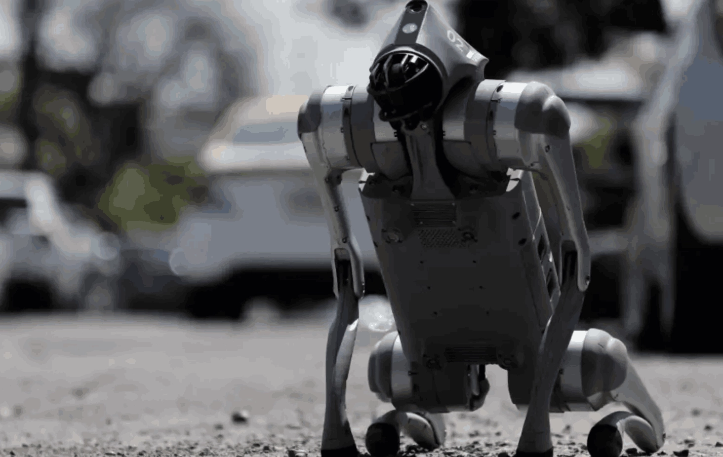 ¿Un perro robot contra el maltrato animal? Así es Waldog, la nueva apuesta en México